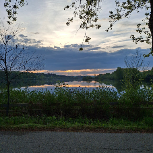 2025-05-16 05:58 (Vue BP2)