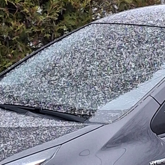 2025-11-09 Première neige à Sherbrooke