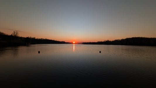 2026-04-09 06:22 (Vue Armand)