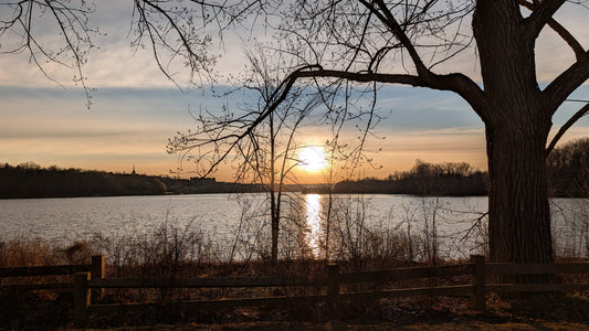 2026-04-18 6:26 (Vue BP1)