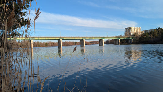 2026-04-18 6:52 (Vue P1)