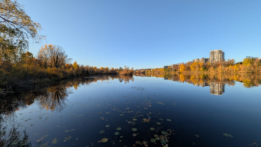2026-10-21 16:17 (Vue T2)