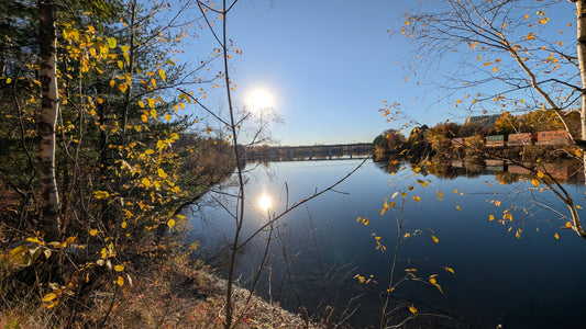 2026-10-21 16:28 (Vue 2)