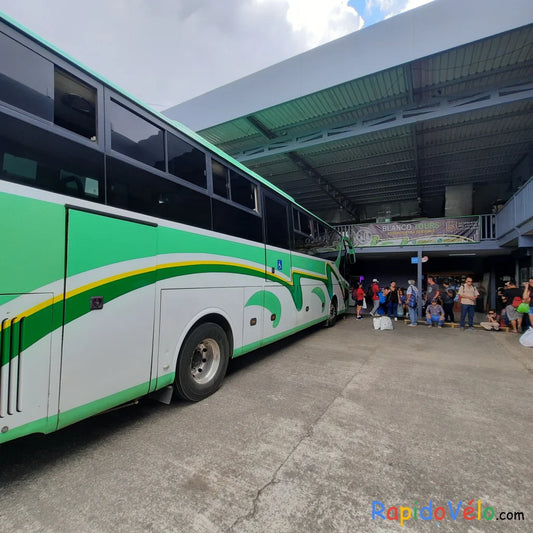 Autobus San Isidro - Dominical