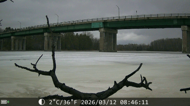 Trouve la caméra de chasse