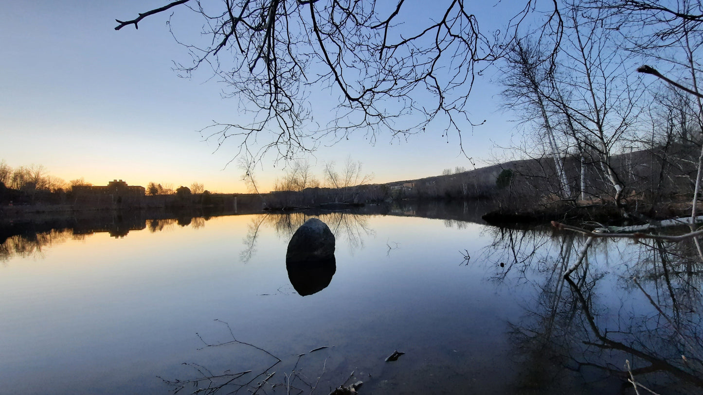 Le Rocher Du 13 Avril 2021 (Vue Rocher)