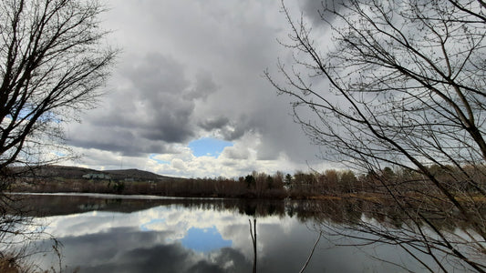 Le Trou Dans Les Nuages De Michel Rivard