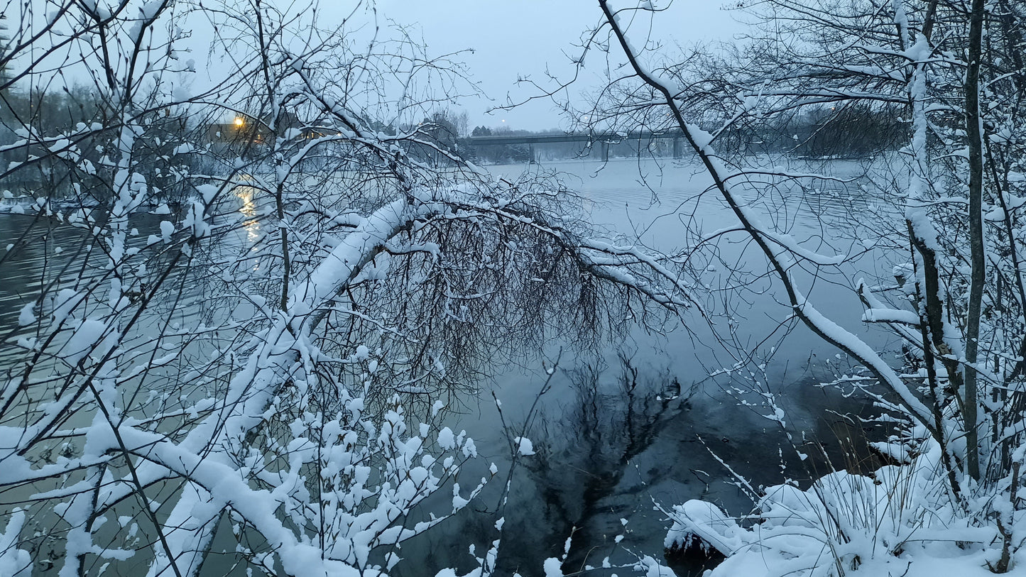 Jour De La Terre 2021 (Pont Jacques Cartier Sherbrooke 5H27) Photo Numérique