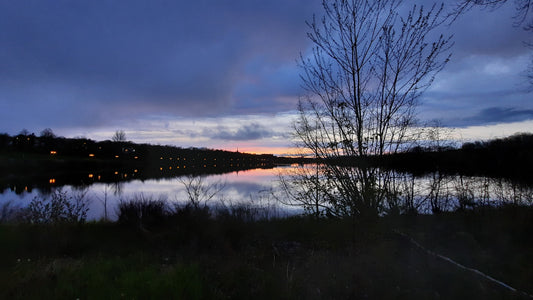 Lac Des Nations Le 9 Mai 2021 5H18