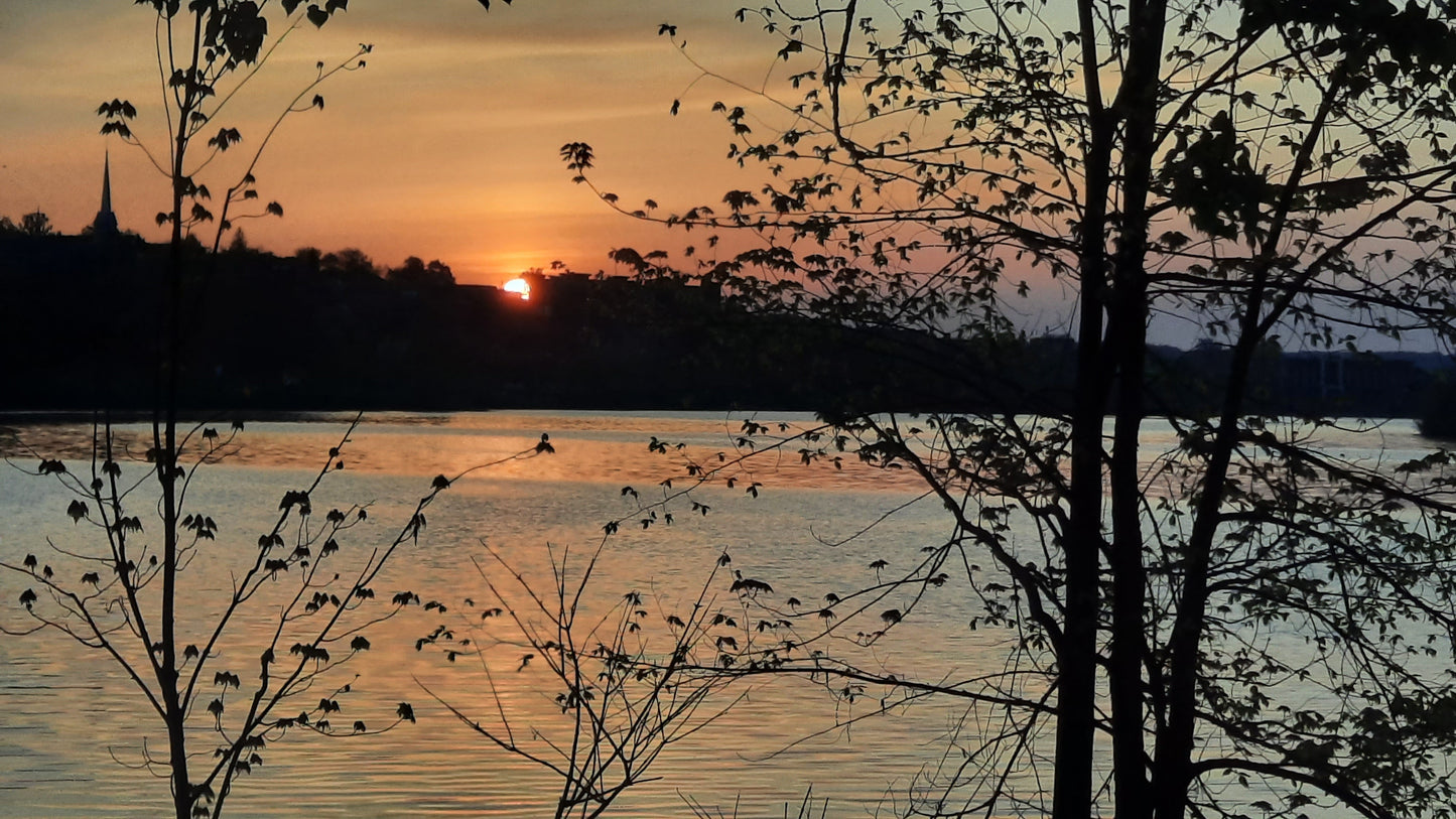 Le Soleil Du Lac Des Nations 20 Mai 2021 (Vue Bp1)