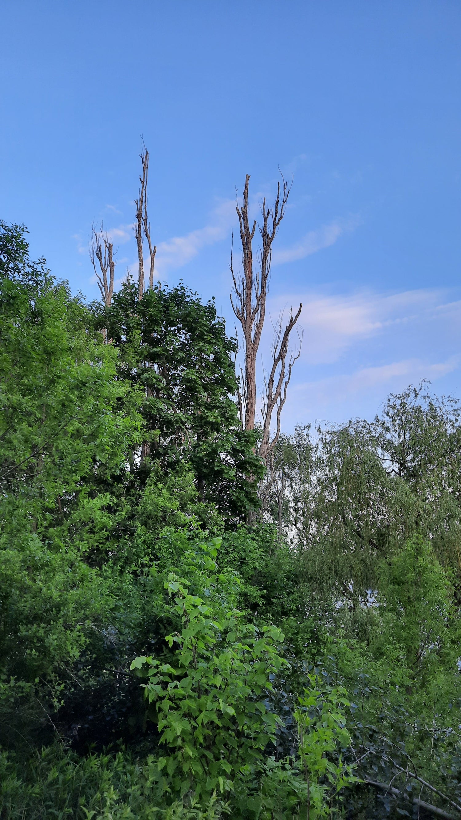 Trouve La Vie Du 26 Mai 2021