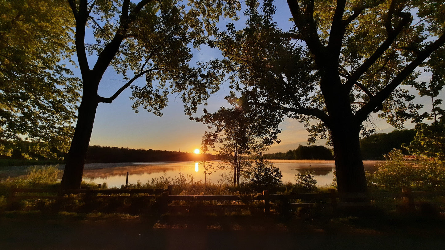 Soleil Du 29 Mai 2021 (Vue Bp1)