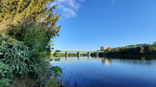 Pont Jacques Cartier De Sherbrooke Du 29 Mai 2021 (Vue P1) Out