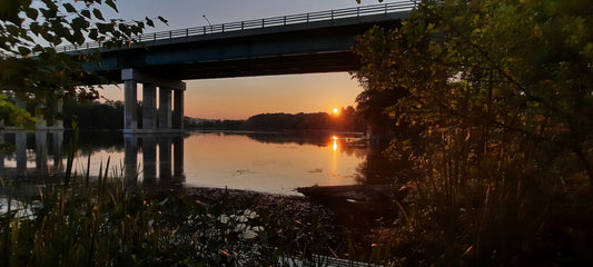 Trouve L’homme Et Le Chien Dans Soleil Du 26 Août 2021 6H32 (Vue K1) Pont Jacques Cartier De