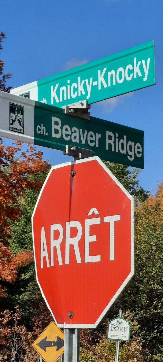 À La Recherche De Croûte Cèdre Sur Le Chemin Knicky-Knocky Et Beaver Ridge 8 Octobre 2021