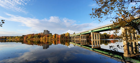 Nouvelle Vue Du 10 Octobre 2021 17H27 (Vue T4)