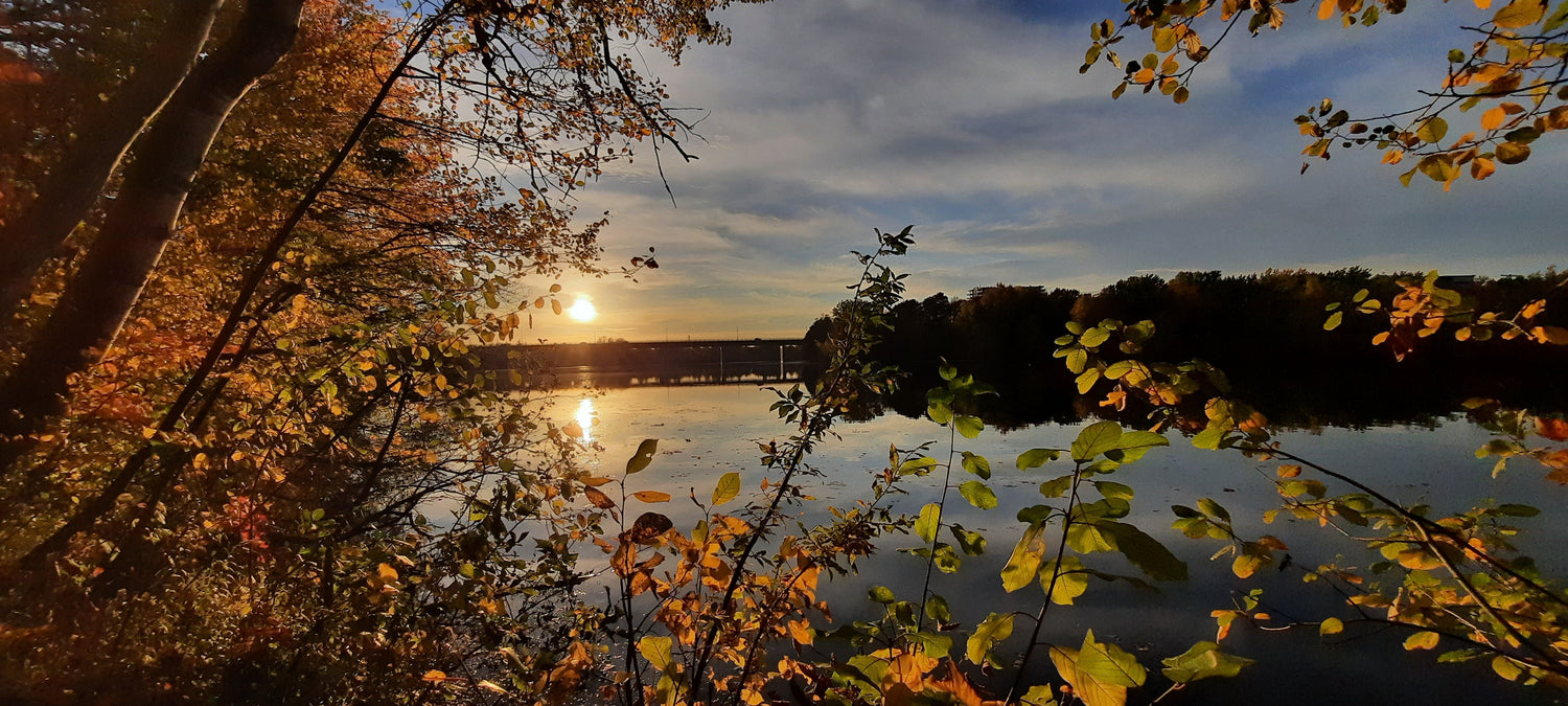 Le Soleil Du 11 Octobre 2021 17H38 (Vue 0)