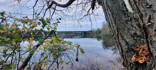 24 Octobre 2021 7H33 (Vue G1) Un Matin Automnal