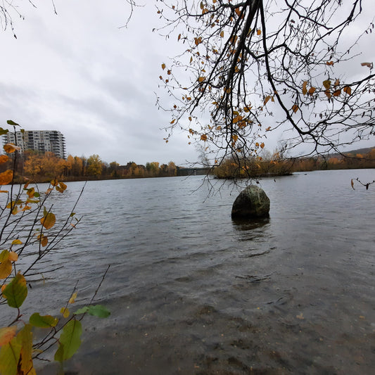 La Pluie Du 30 Octobre 2021 16H22 (Vue Rocher)