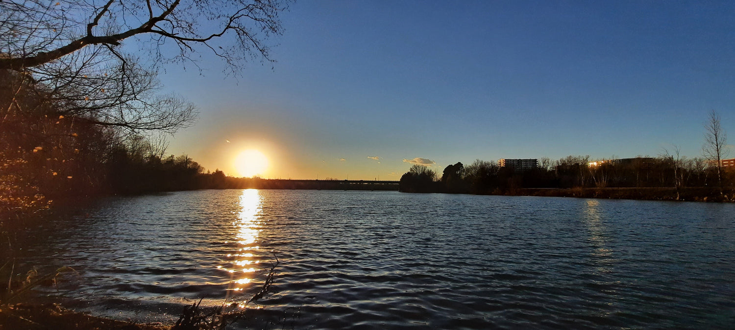 2021-11-10 15:48 Sherbrooke (Vue 1)