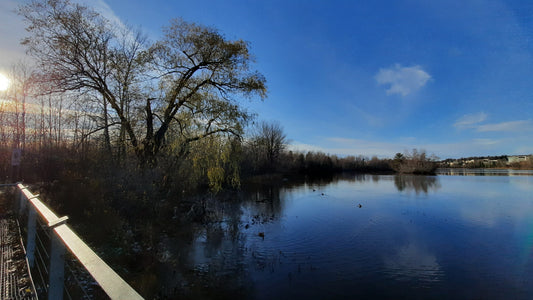 Trouve Le Soleil Et Les Canards 2021-11-20 14:21 Sherbrooke (Vue T2)