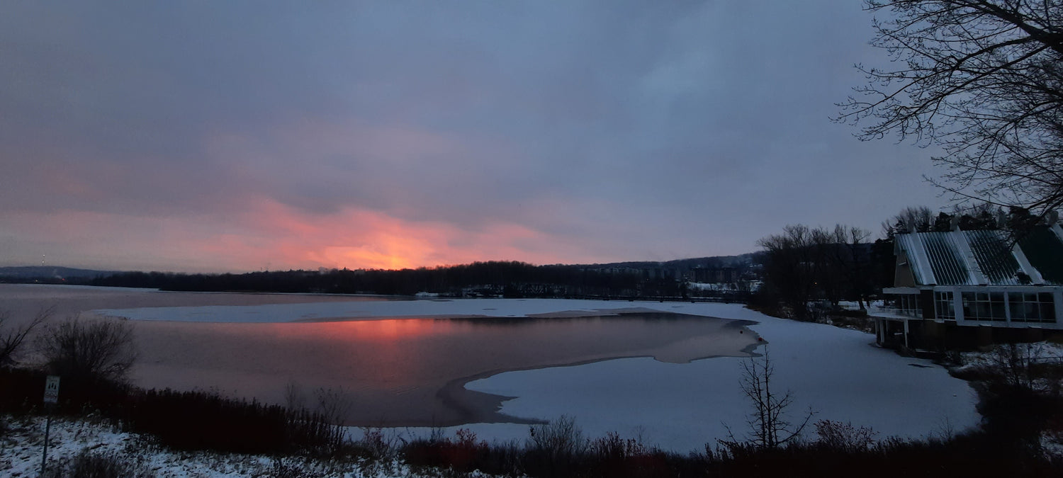 Journal De David -- Pavillon Armand-Nadeau Aube 2021-11-30 7:05 Lac Des Nations À Sherbrooke (Vue