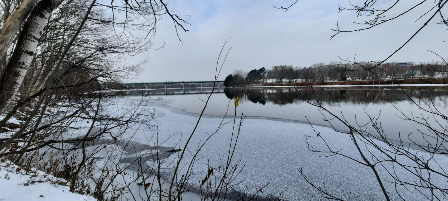 Glace 2021-11-30 08:44 Pont Jacques Cartier À Sherbrooke (Vue 0)