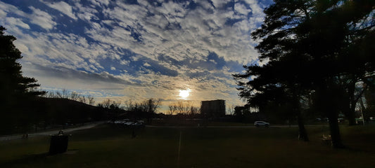 Soleil Au Parc Jacques Cartier 13 Décembre 2021 14:48 (Vue Bp11)