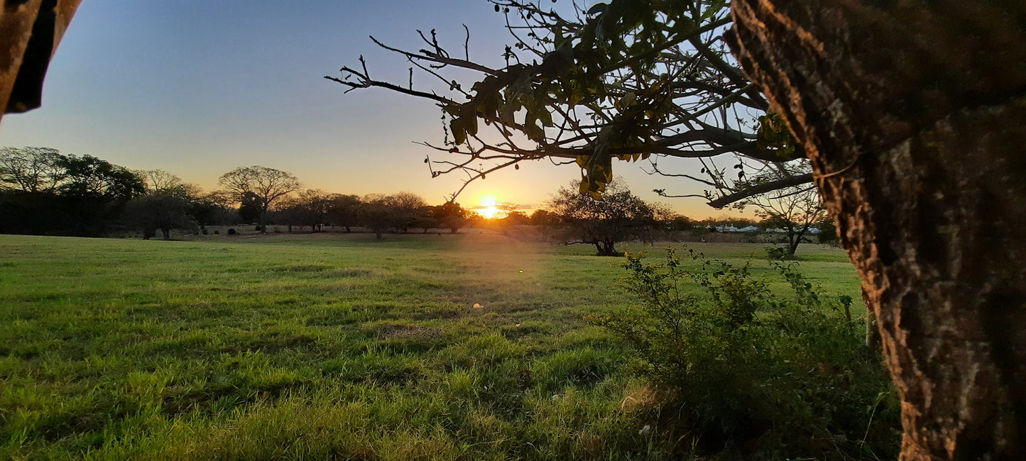 Coucher De Soleil Au Nicaragua