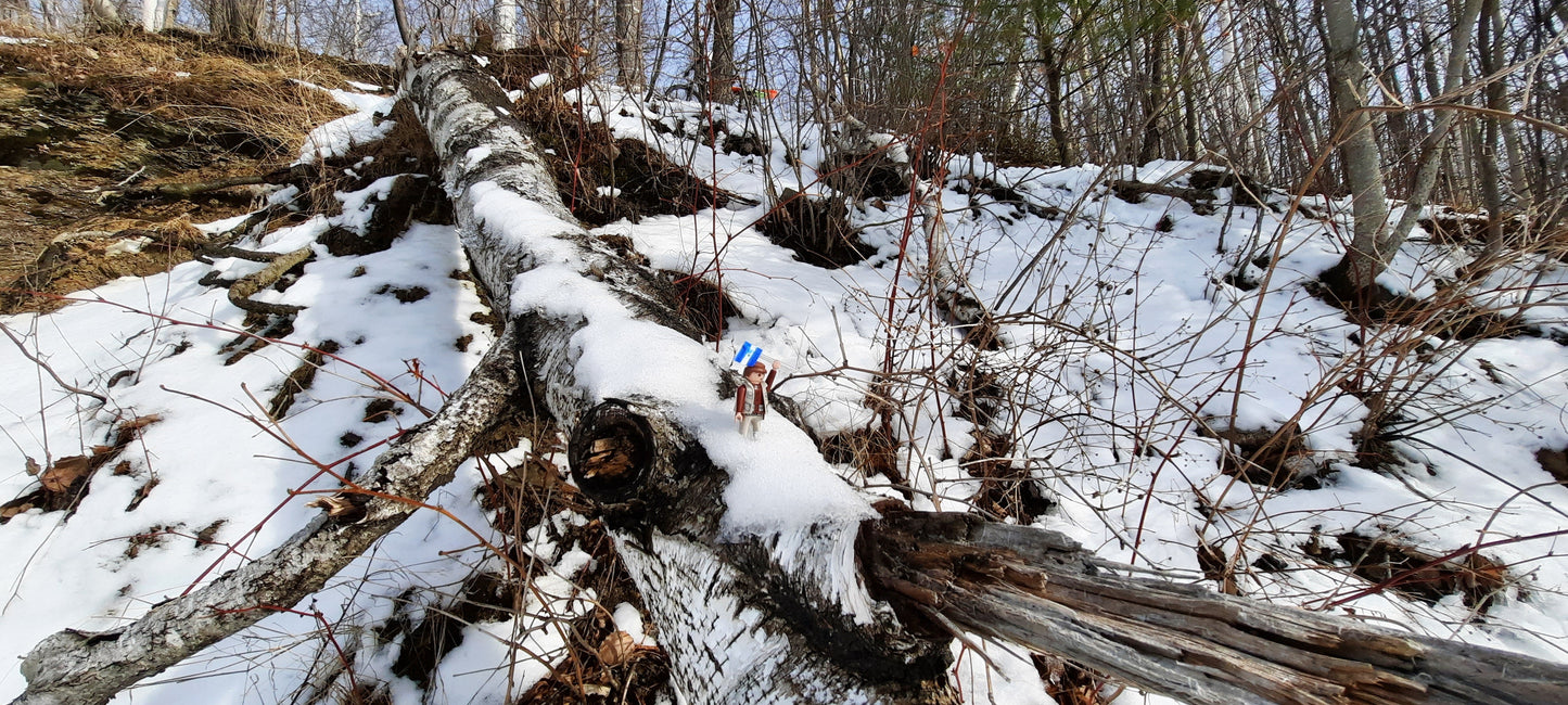 Trouve Keveune Dans La Forêt