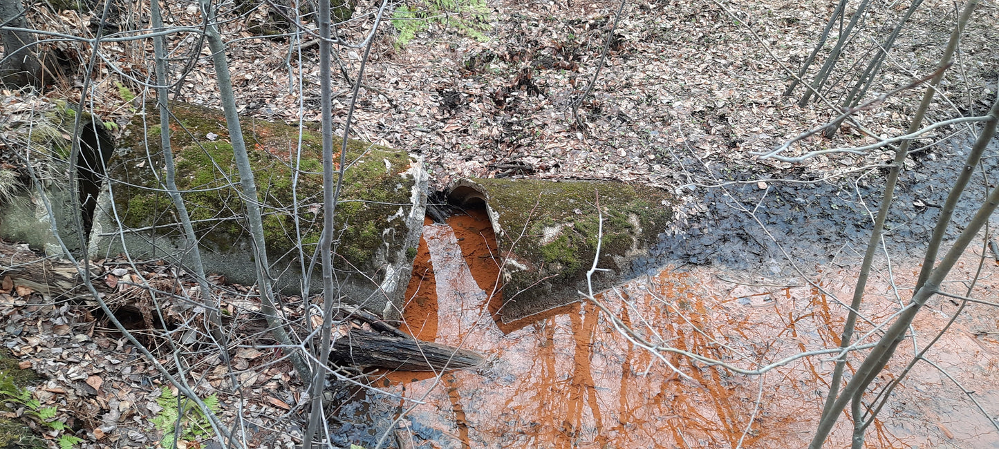 2022-03-27 (Vue Égoût) Trouve Le Brun De Sherbrooke