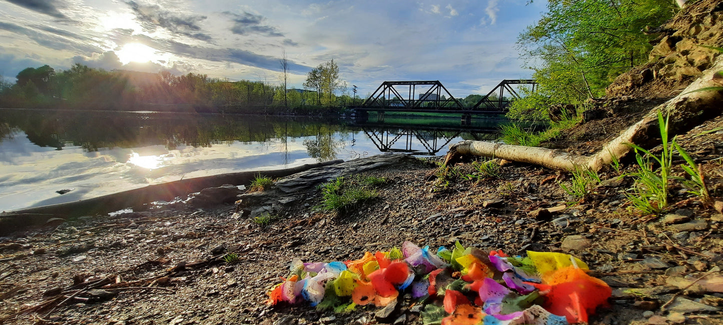 Aloha Sherbrooke (Vue 1)