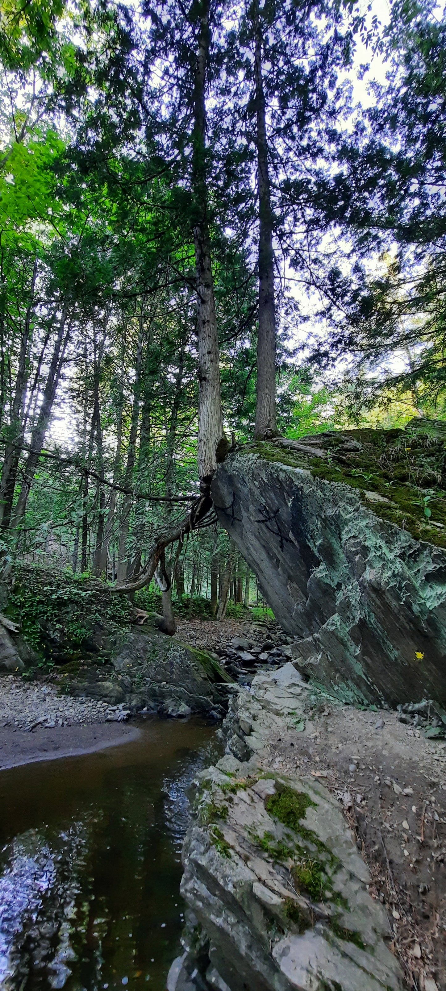 Halte Du Pont Couvert À Ayer’s Cliff