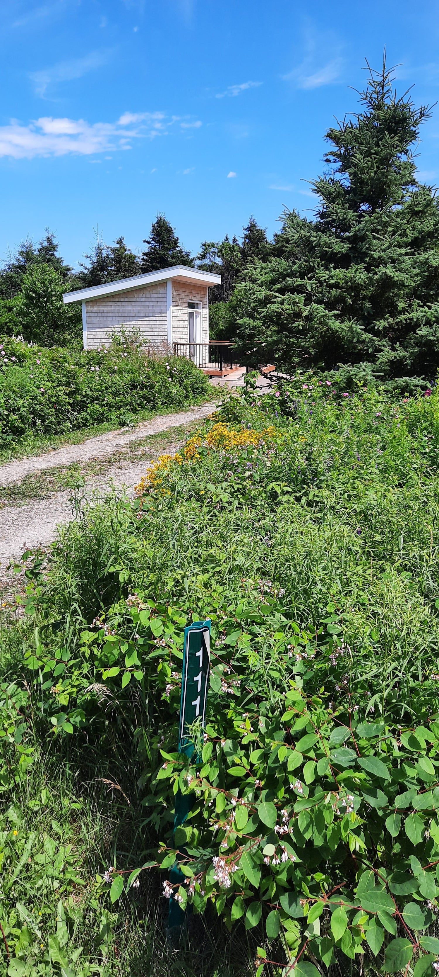 Bunkie 111 (Parc National) Stanhope - Ipe Pei