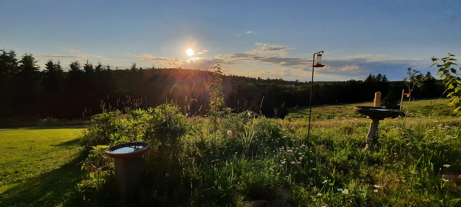 Old Skye Brook - North Wiltshire Airbnb Pei