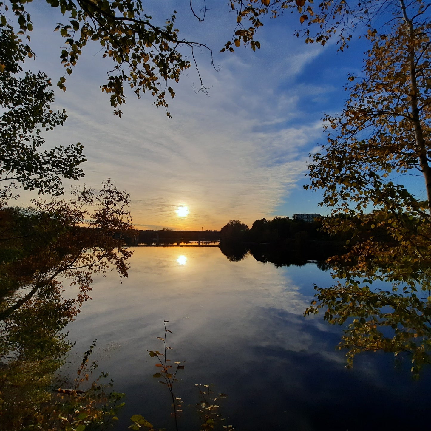 2022-10-03 Coucher De #Soleil (Vue 2)