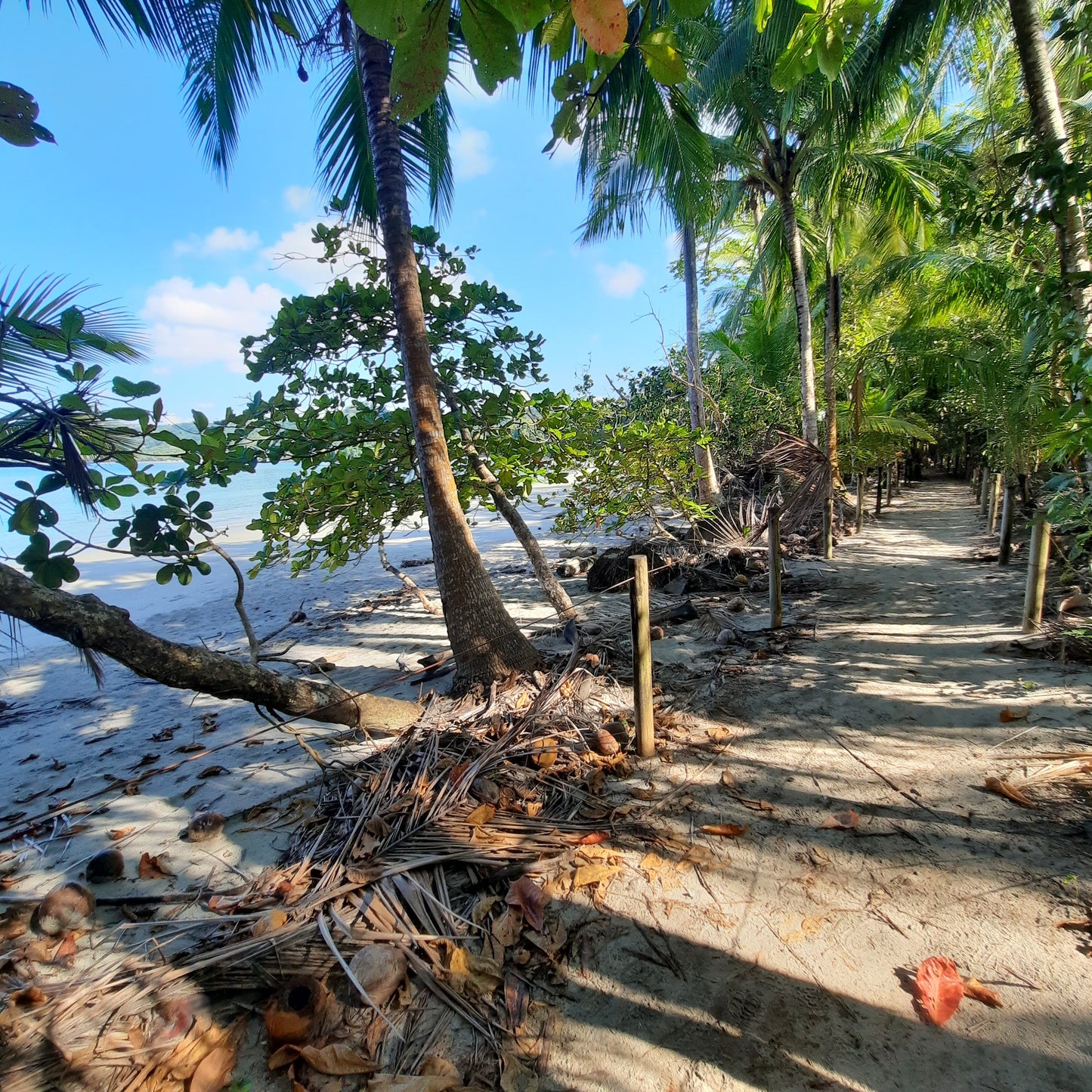 Parc National Manuel Antonio