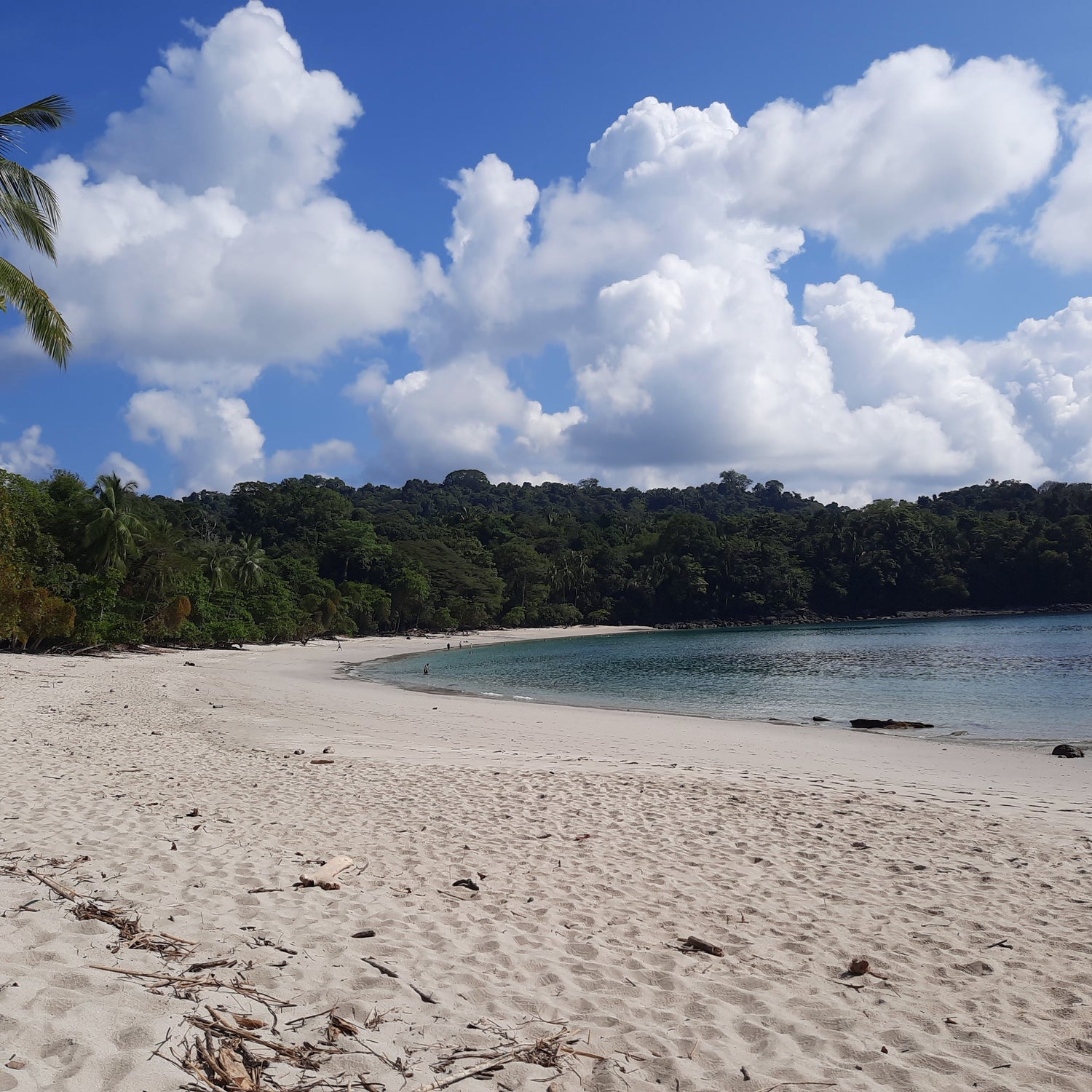 Parc National Manuel Antonio