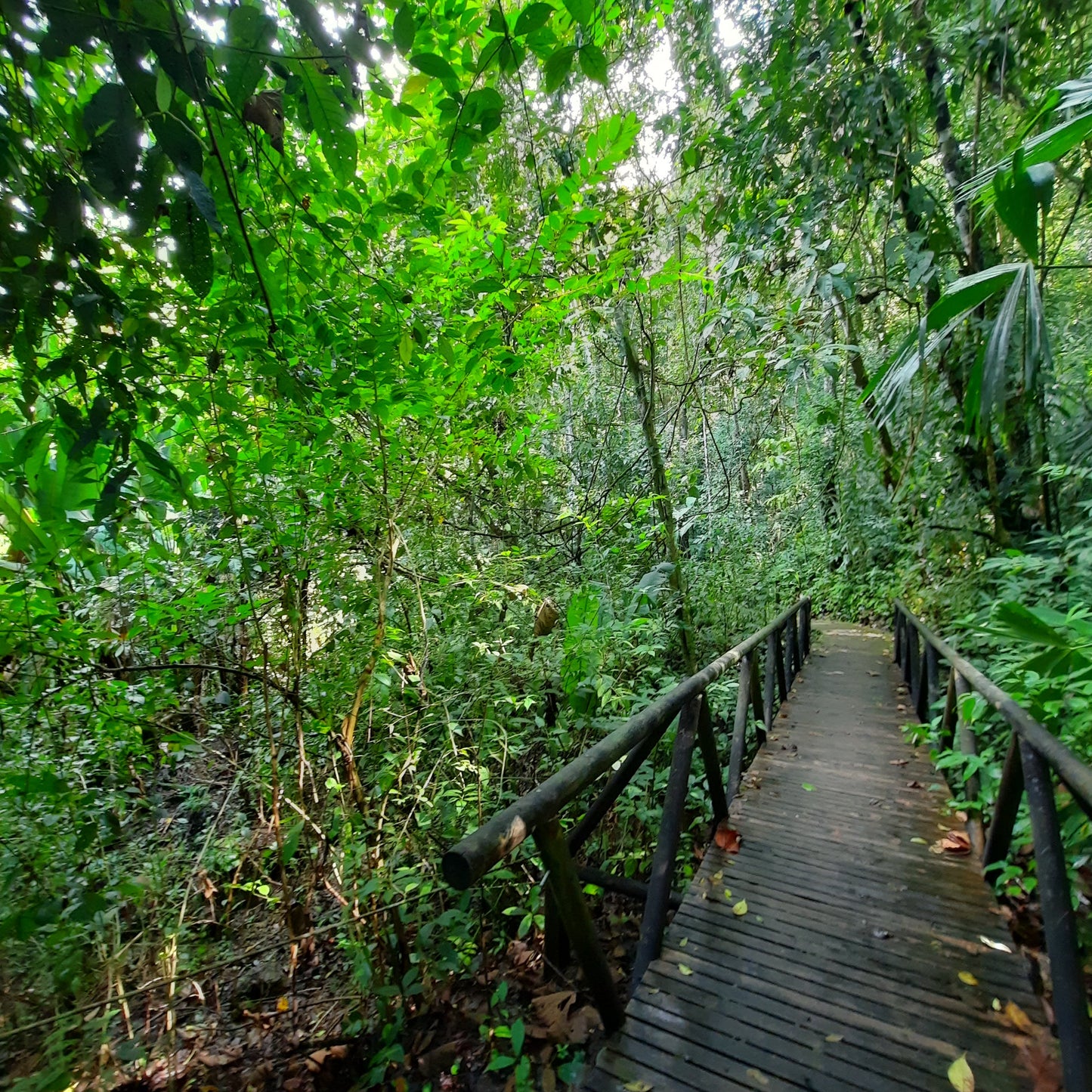 Parc National Manuel Antonio