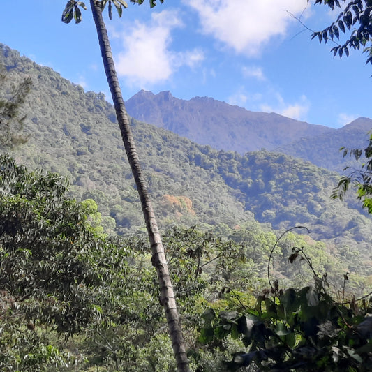 Parc National Du Cerro Chirripo (Parque Nacional Chirripo)