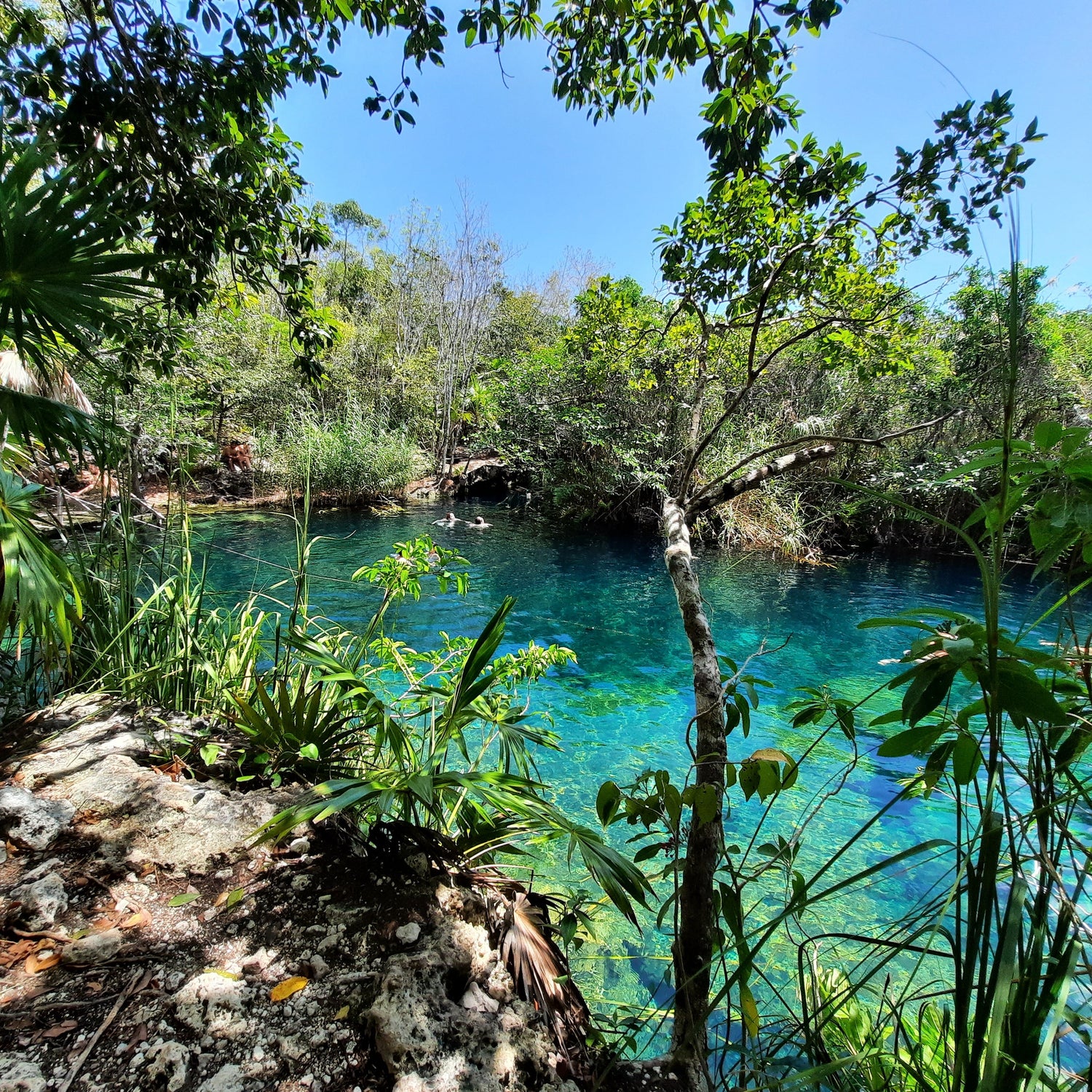 Cenote Escondido