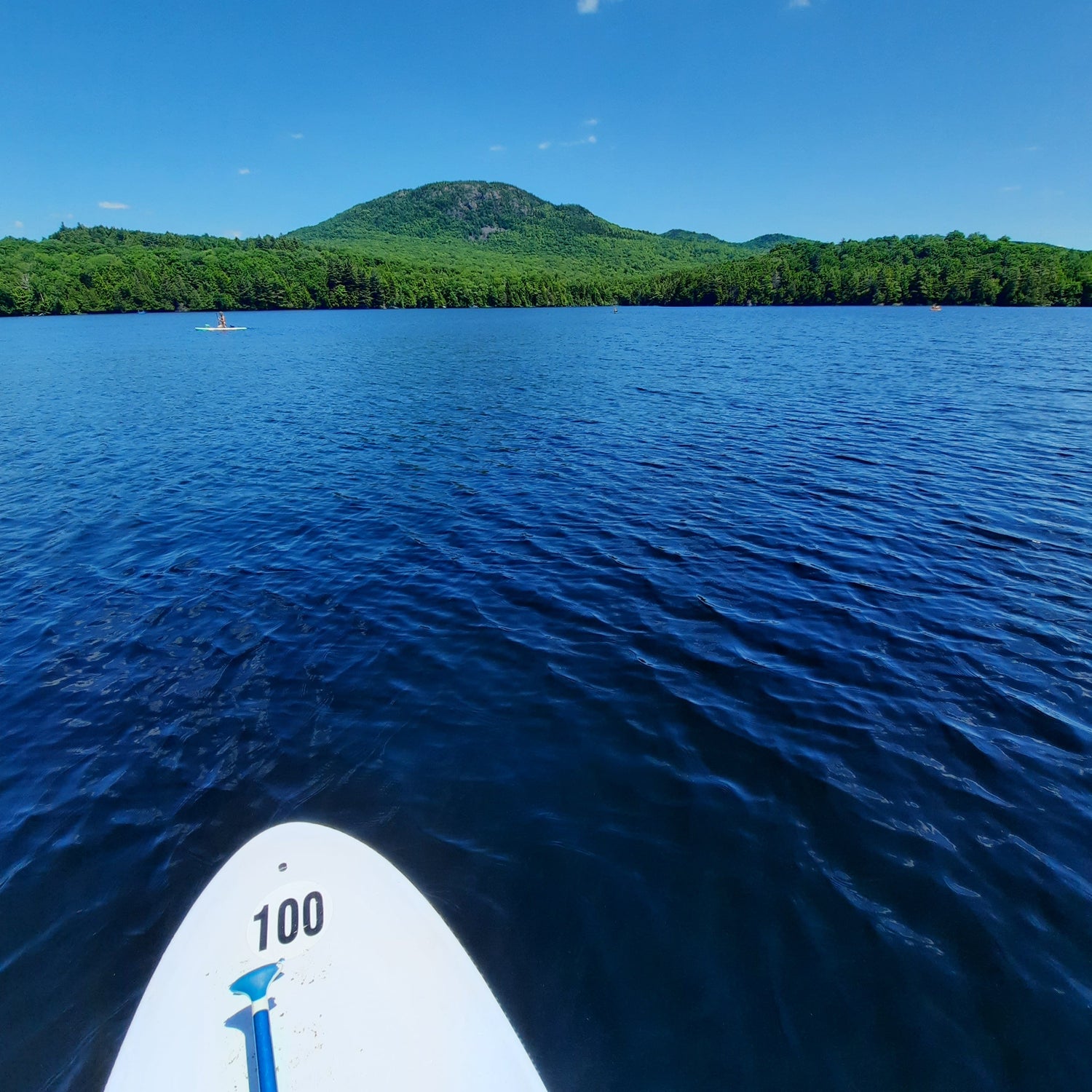 Paddle Board