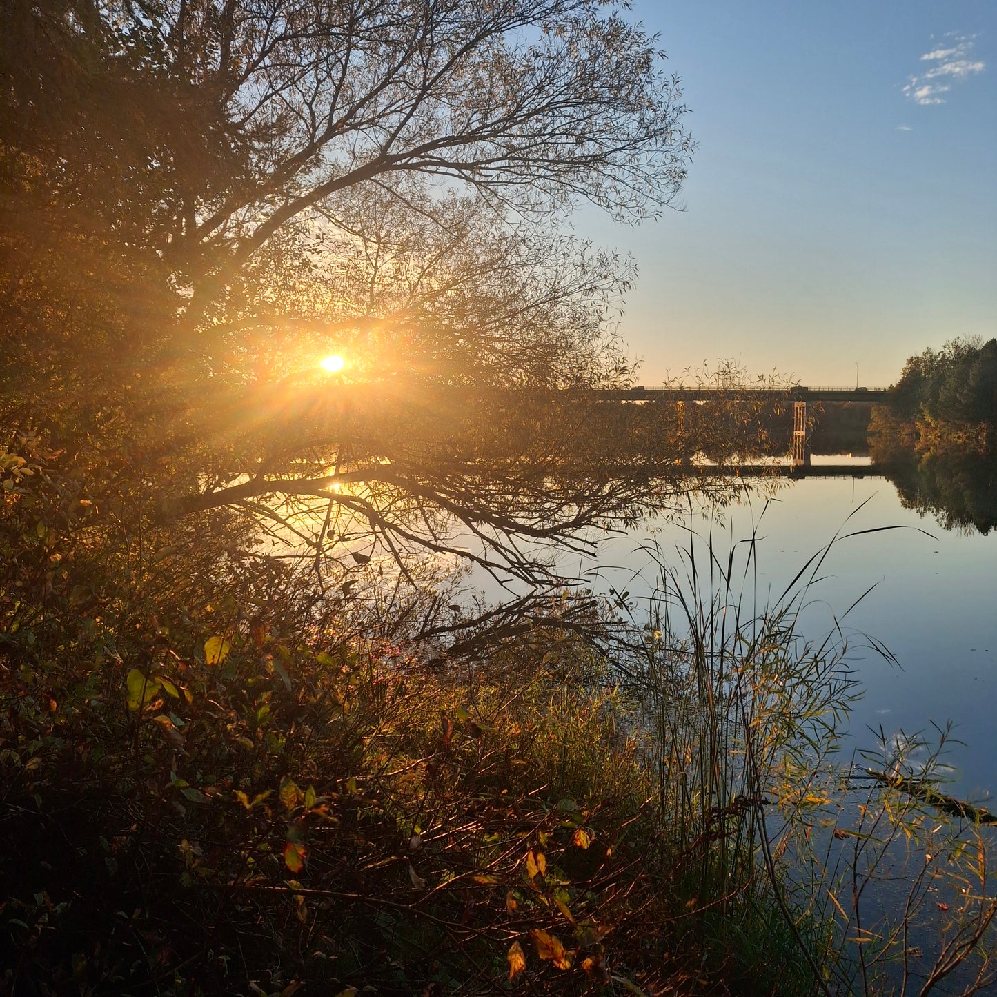 2025-10-11 17:45 (Vue S1)