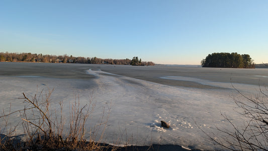 2026-04-12 (Vue Odanak)