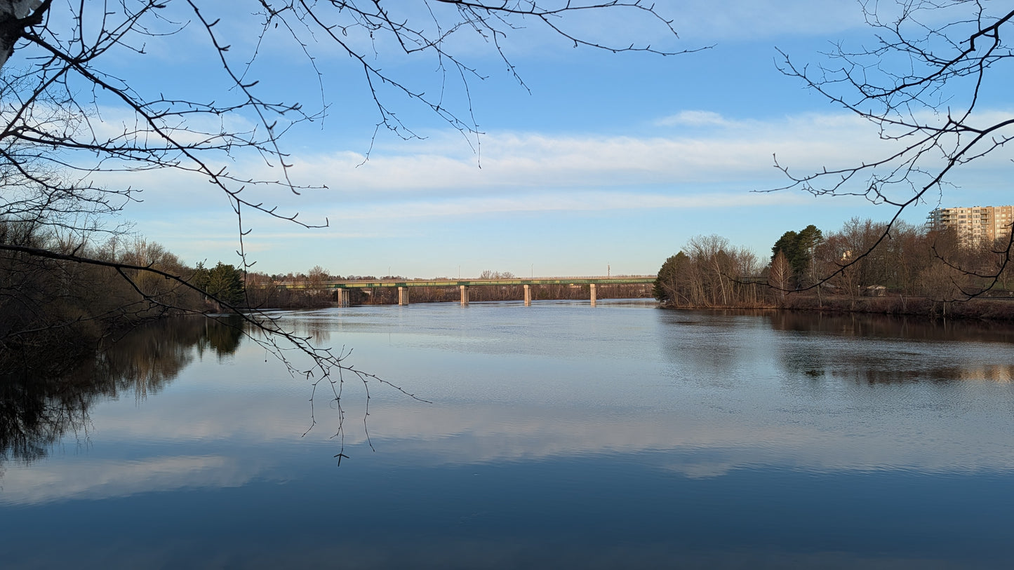 2026-04-18 6:38 (Vue 2)