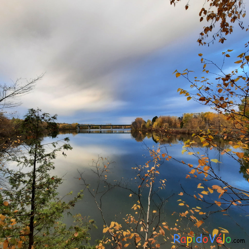 C’est L’automne À Sherbrooke Le 30 Octobre 2021 8H00 (Vue 2.3) Fine Pluie