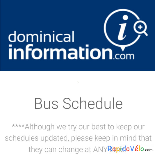 Dominical Bus