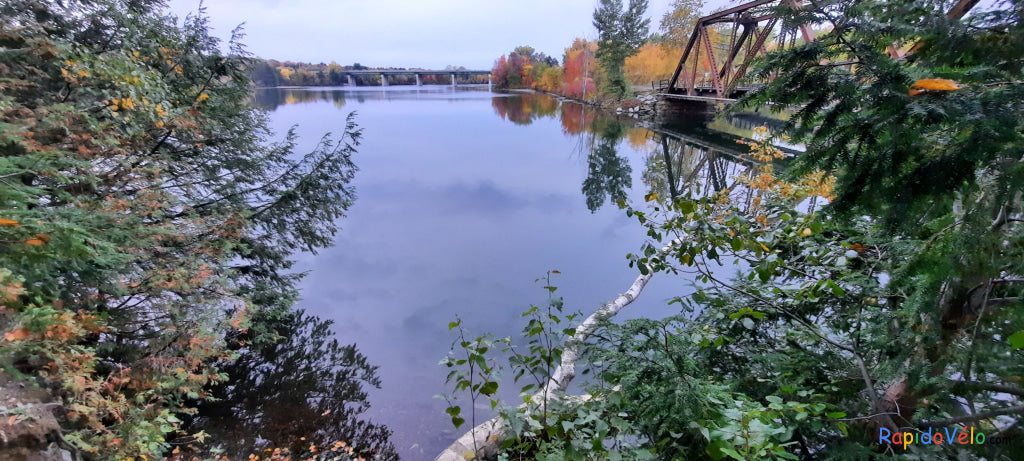 Le Pont Noir De Sherbrooke Et Le Bouleau 10 Octobre 2021