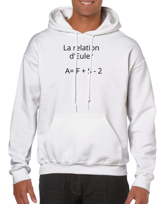 La Relation D’euler En Math De Deuxième Secondaire Print Material