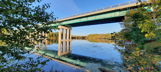 Trouve Le Chien Du 6 Octobre 2021 17H02 (Vue K1)  Rivière Magog À Sherbrooke. Pont Jacques Cartier.